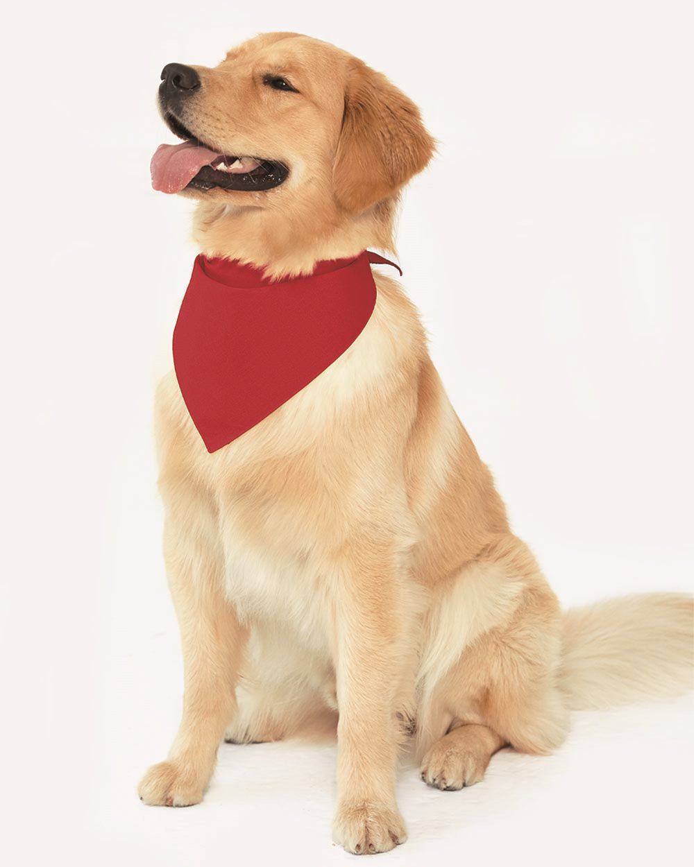 Doggie Skins USA-Made Doggie Bandana 3905