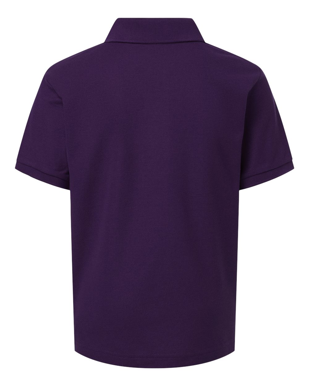 #color_Purple