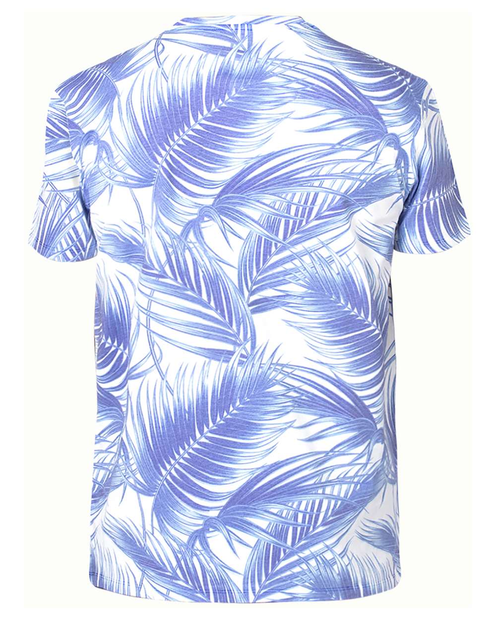 #color_Palm Paradise