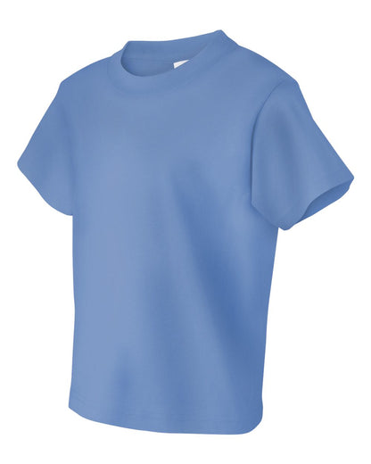 Fruit of the Loom HD Cotton Youth Short Sleeve T-Shirt 3930BR #color_Columbia Blue