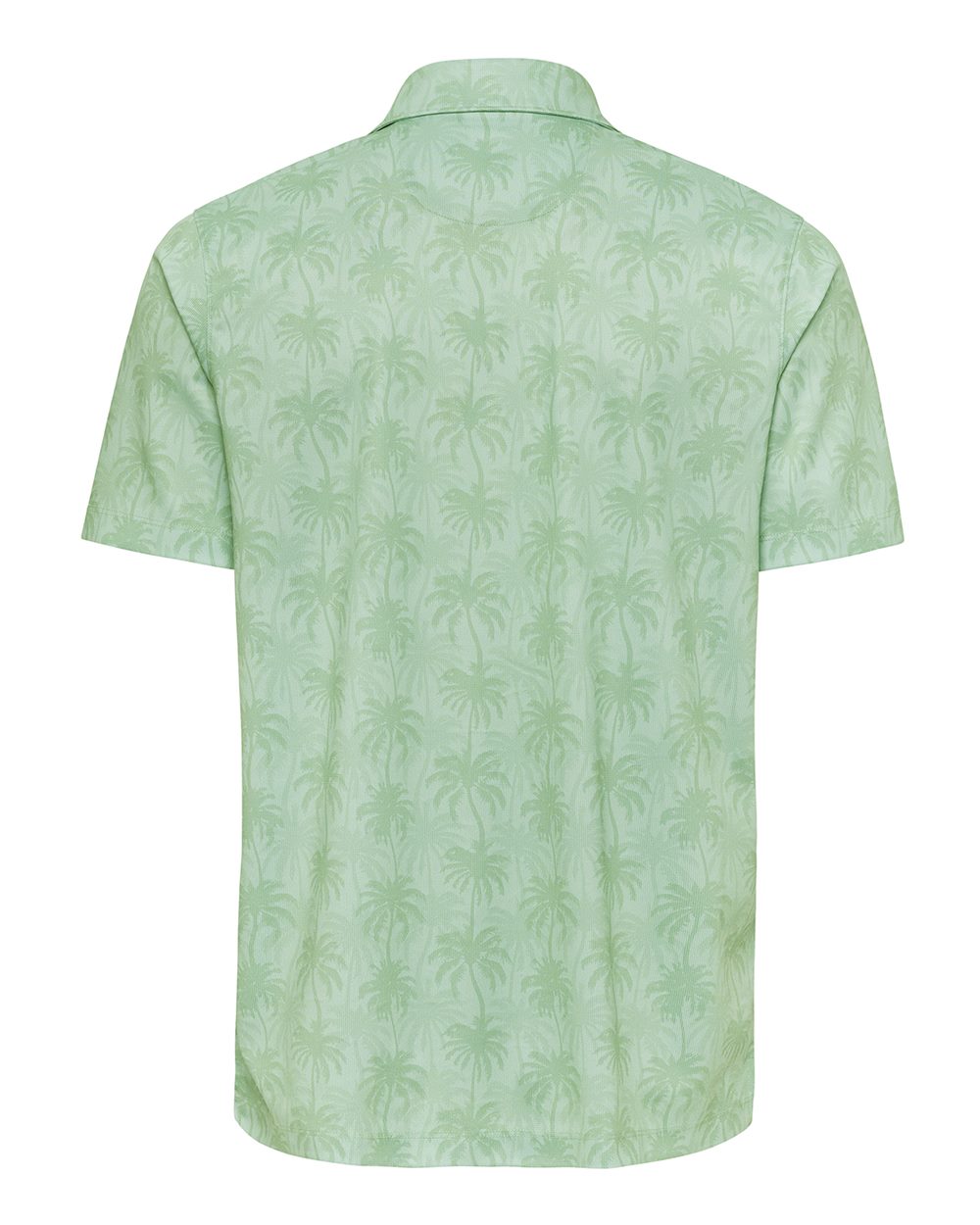 #color_Palm Green