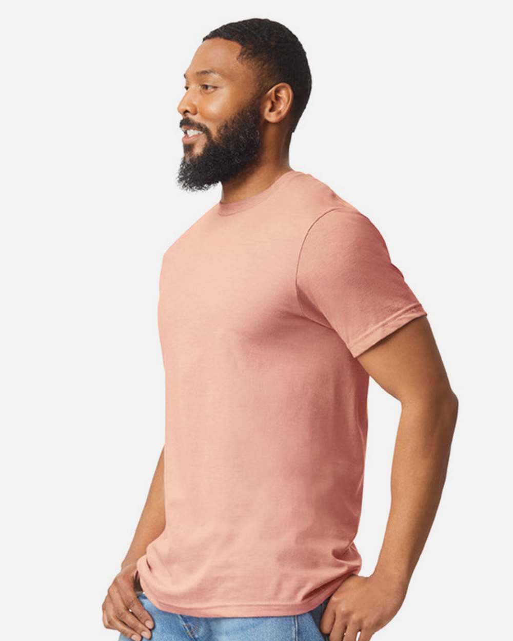 #colormdl_Dusty Rose