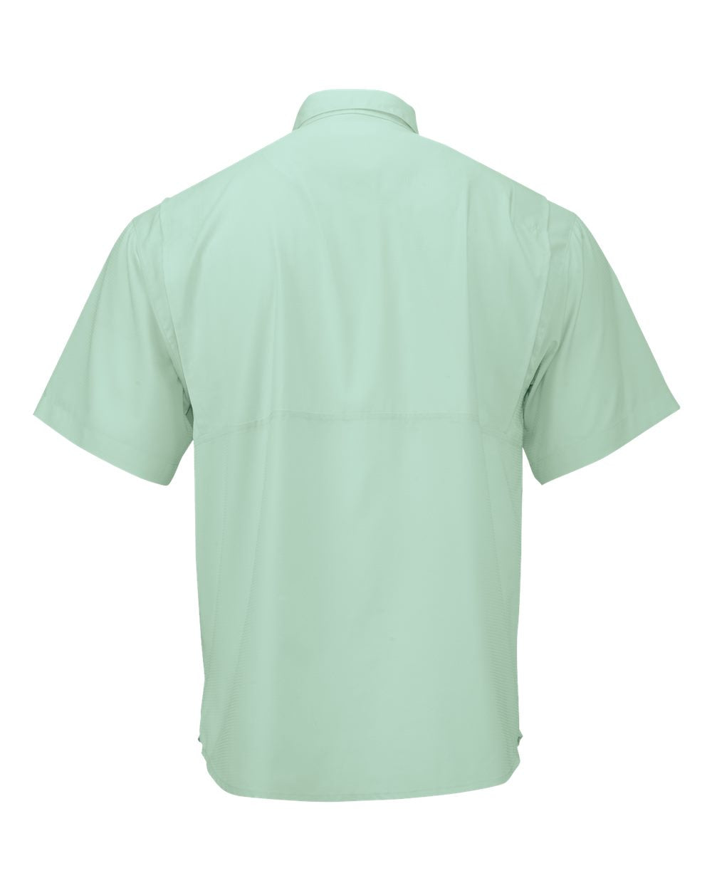 #color_Mint Green