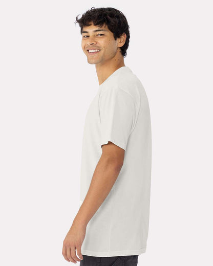 Next Level Cotton T-Shirt 3600 #colormdl_Bone