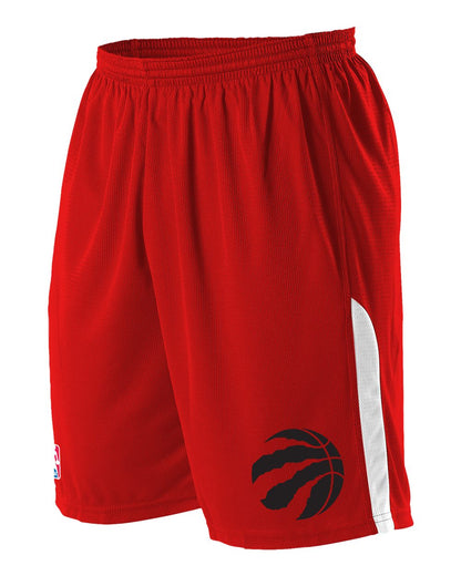 Alleson Athletic Youth NBA Logo'd Game Shorts A205LY #color_Toronto Raptors