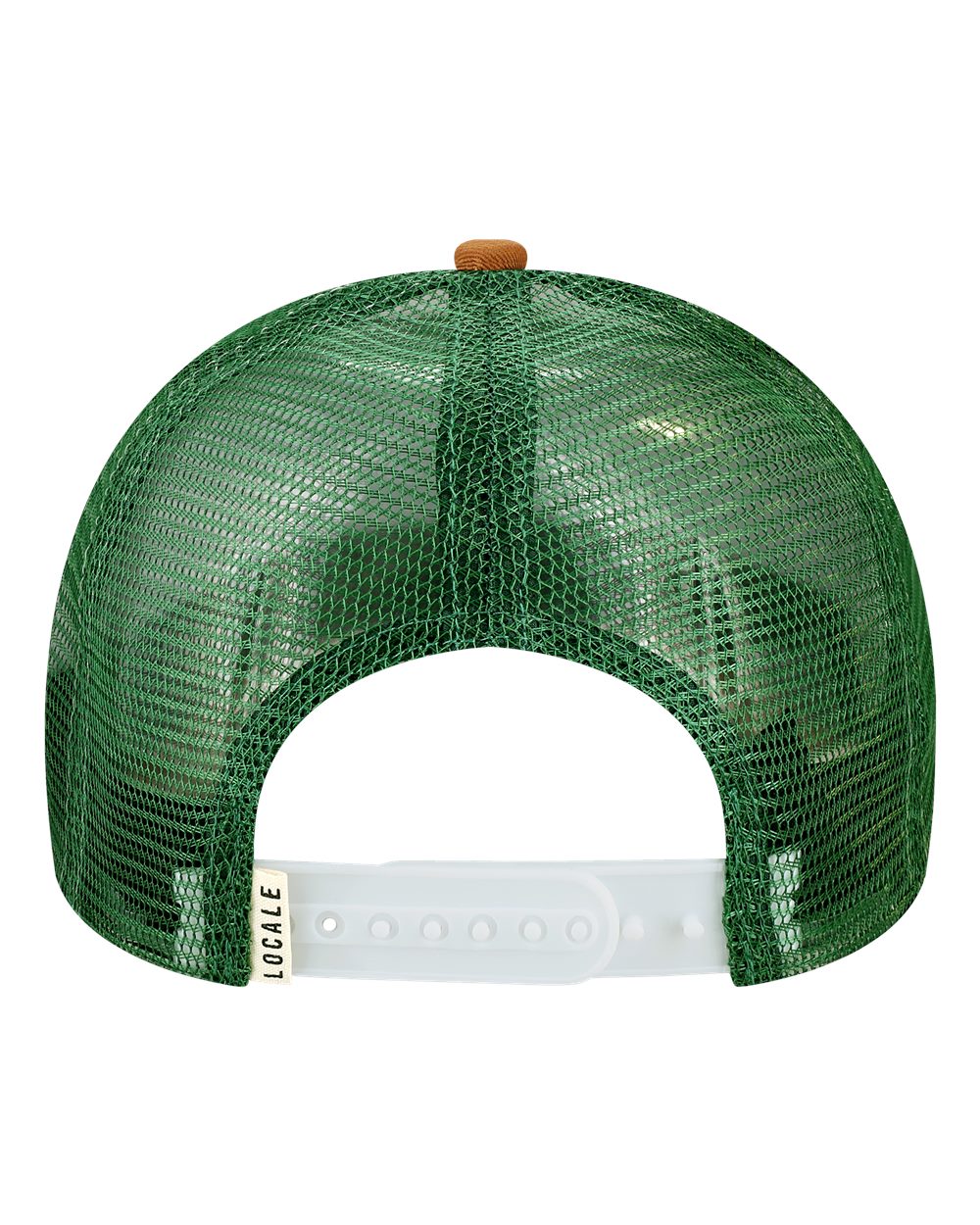 #color_Explorer/ Brown