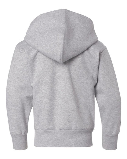 Hanes Youth EcoSmart® Hooded Sweatshirt P473 #color_Light Steel