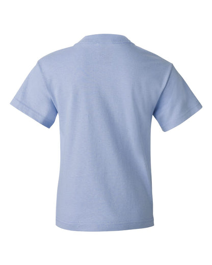 Fruit of the Loom HD Cotton Youth Short Sleeve T-Shirt 3930BR #color_Light Blue