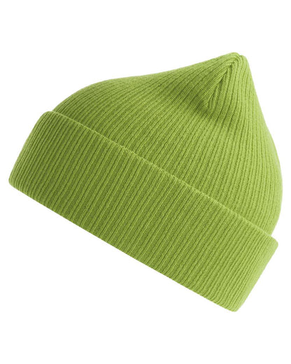 Atlantis Headwear Sustainable Cuffed Beanie NELSON #color_Leaf Green