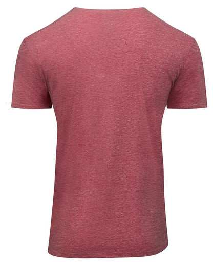 Threadfast Apparel Unisex Triblend T-Shirt 102A #color_Red Triblend