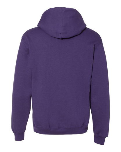 Russell Athletic Unisex Dri Power® Hooded Sweatshirt 695HBM #color_Purple