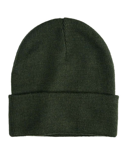 econscious Base Camp Beanie EC7045 #color_Alpine