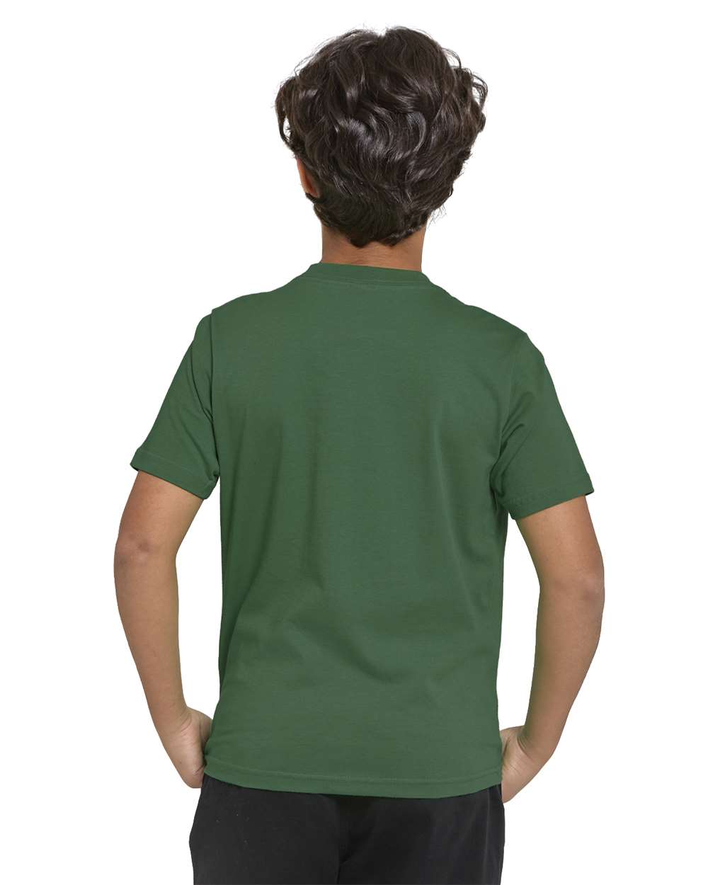 #colormdl_Forest Green